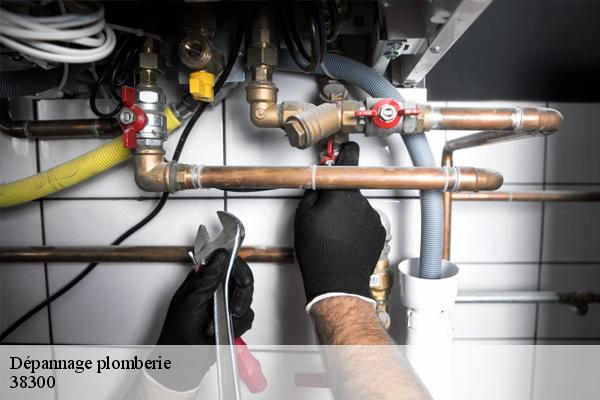 Dépannage plomberie 38300