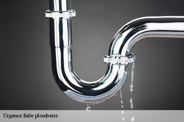 Urgence fuite plomberie